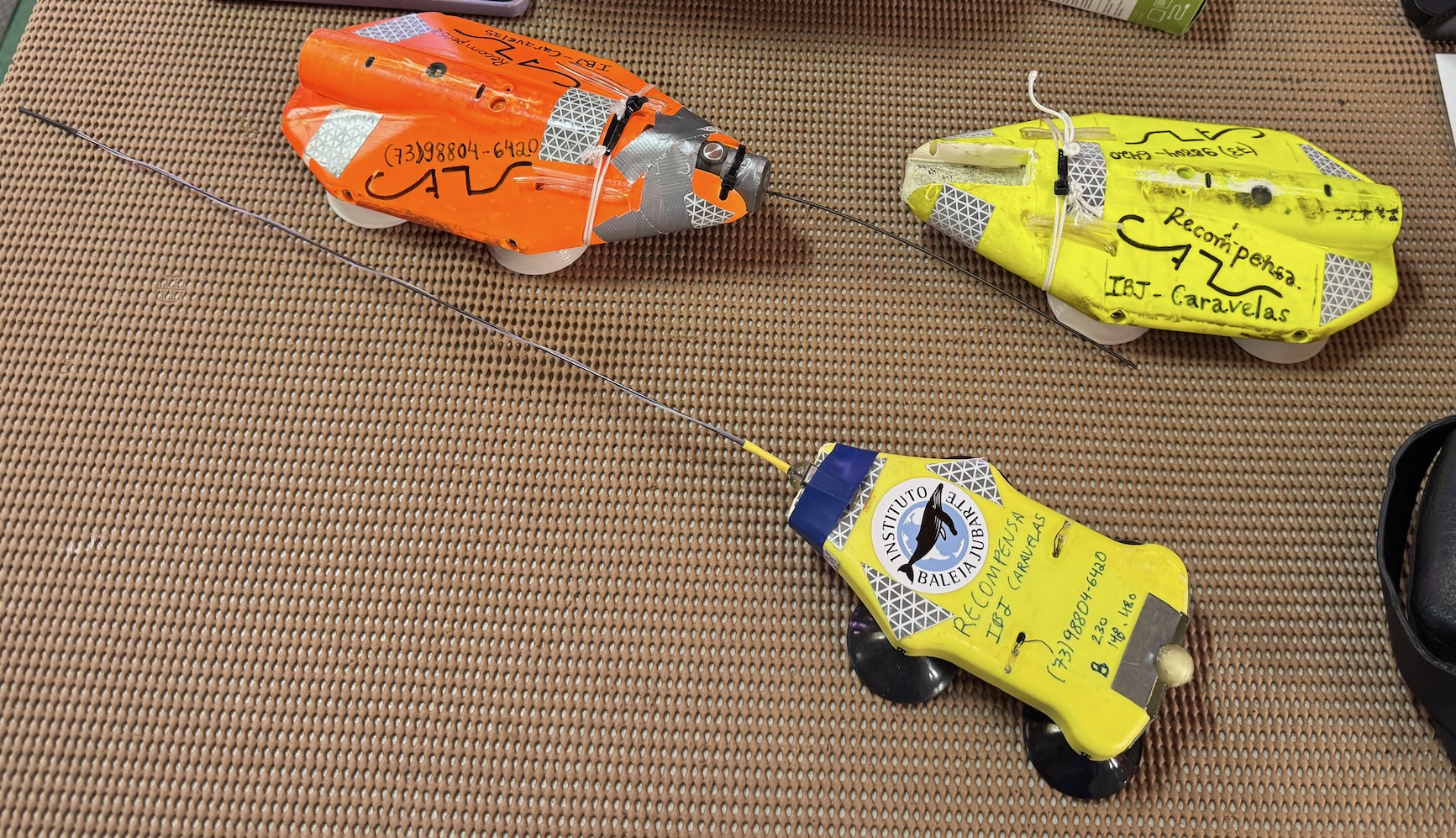 A hero photo of the FaunaTag device