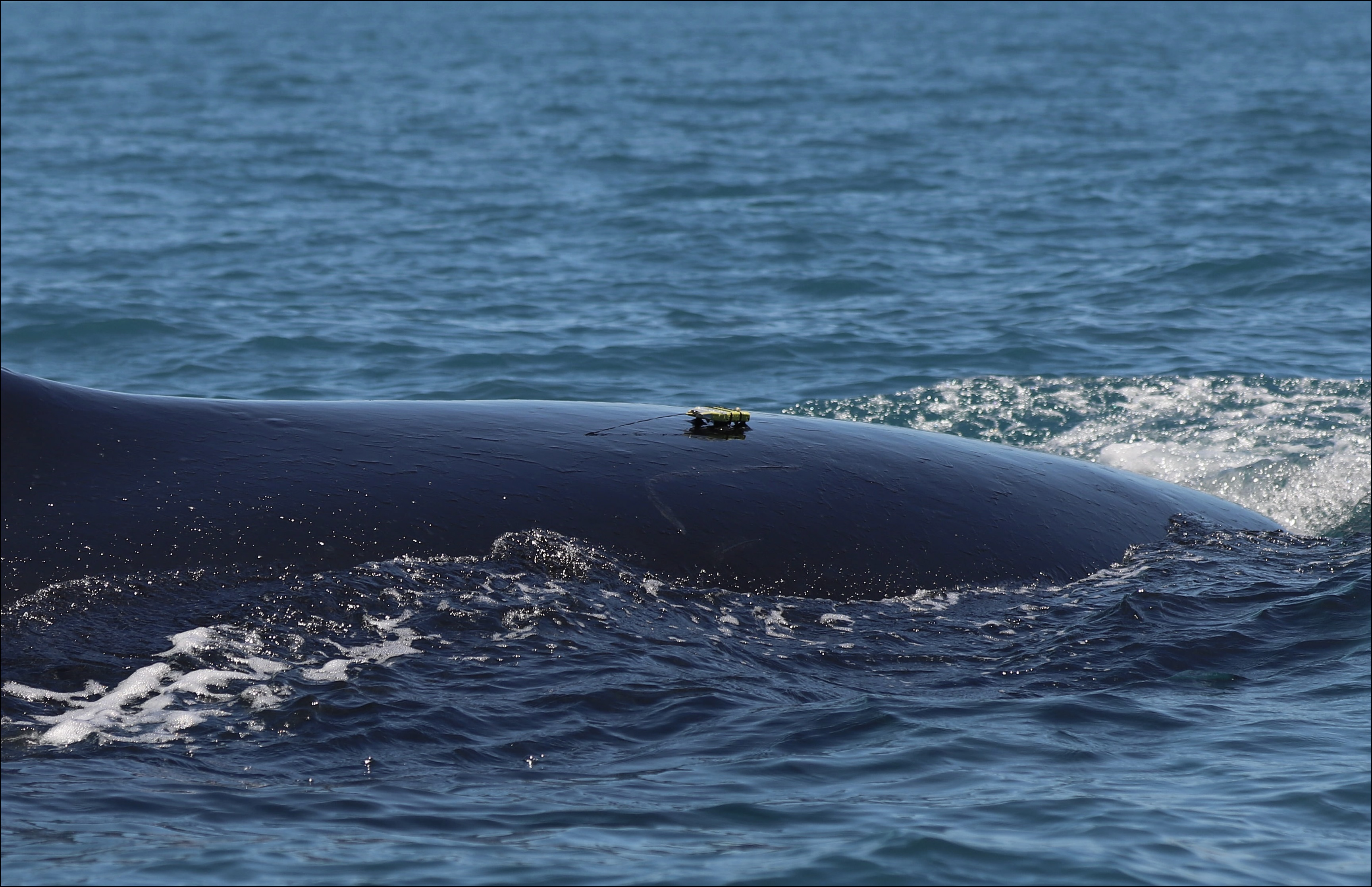 Research imagery representing ocean field work